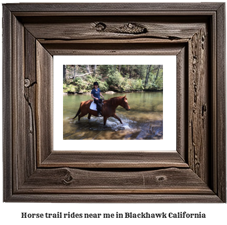 horse trail rides near me in Blackhawk, California